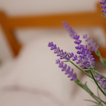 Guesthouse Night&Day Subotica Ngoại thất bức ảnh
